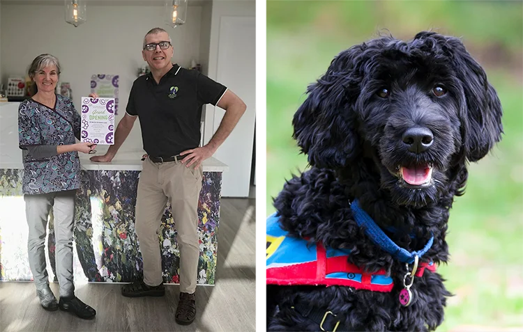 Collage of veterinarians in the clinic and portrait of clinic dog