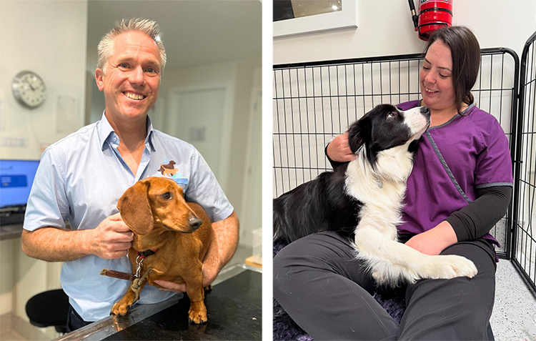 A veterinarian with a small dog and vet tech sitting with a black and white dog